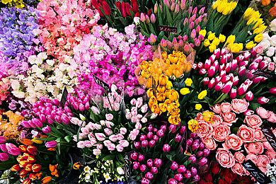 《NBA 2K22》推出全新MySTAFF模式 掌控全局